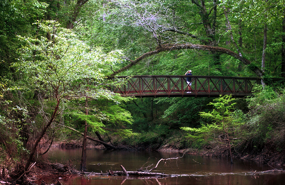 Big Thicket National Preserve Outdoors In Beaumont Tx